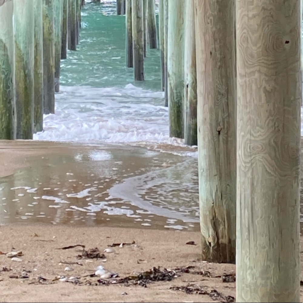 Meet your Posher, Angela